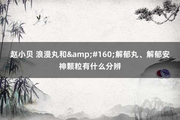 赵小贝 浪漫丸和 解郁丸、解郁安神颗粒有什么分辨