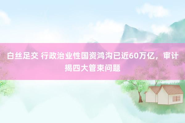 白丝足交 行政治业性国资鸿沟已近60万亿，审计揭四大管束问题