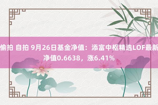 偷拍 自拍 9月26日基金净值：添富中枢精选LOF最新净值0.6638，涨6.41%