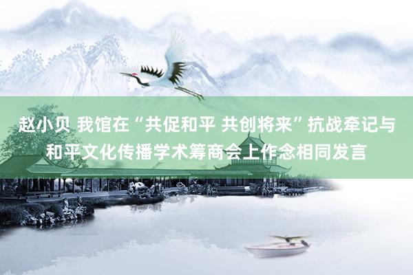 赵小贝 我馆在“共促和平 共创将来”抗战牵记与和平文化传播学术筹商会上作念相同发言