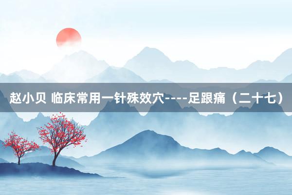 赵小贝 临床常用一针殊效穴----足跟痛（二十七）