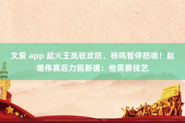 文爱 app 起火王岚嵚攻防，杨鸣暂停怒喷！赵继伟赛后力挺新援：他需要技艺