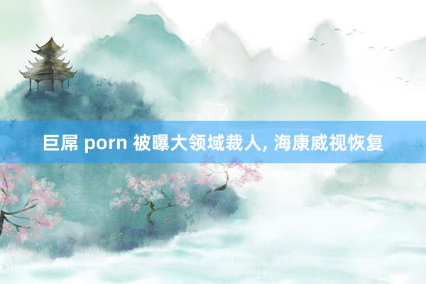 巨屌 porn 被曝大领域裁人， 海康威视恢复