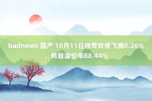 badnews 国产 10月11日翔鹭转债飞腾0.26%，转股溢价率88.44%