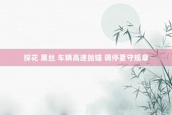 探花 黑丝 车辆高速抛锚 调停要守规章