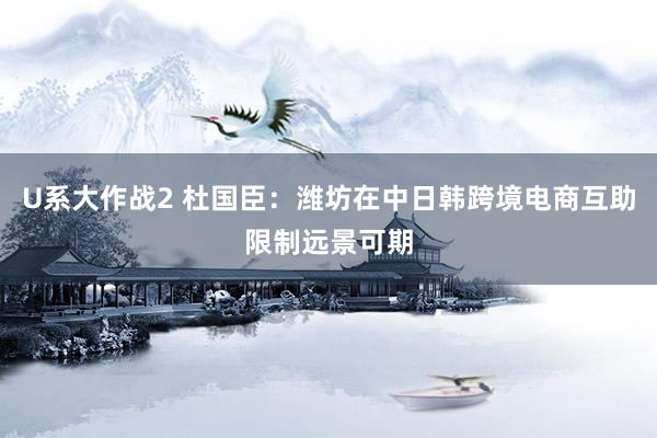 U系大作战2 杜国臣：潍坊在中日韩跨境电商互助限制远景可期