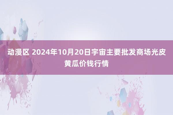 动漫区 2024年10月20日宇宙主要批发商场光皮黄瓜价钱行情