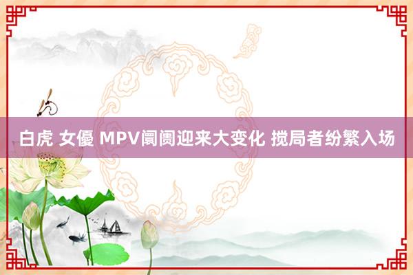 白虎 女優 MPV阛阓迎来大变化 搅局者纷繁入场