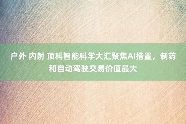 户外 内射 顶科智能科学大汇聚焦AI措置，制药和自动驾驶交易价值最大