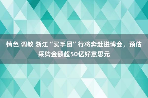 情色 调教 浙江“买手团”行将奔赴进博会，预估采购金额超50亿好意思元