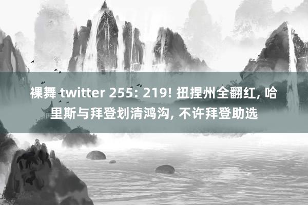 裸舞 twitter 255: 219! 扭捏州全翻红， 哈里斯与拜登划清鸿沟， 不许拜登助选