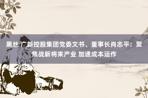 黑丝 广新控股集团党委文书、董事长肖志平：聚焦战新将来产业 加速成本运作
