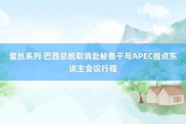 蕾丝系列 巴西总统取消赴秘鲁干与APEC指点东谈主会议行程
