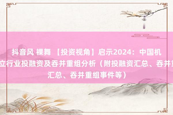 抖音风 裸舞 【投资视角】启示2024：中国机械式泊车成立行业投融资及吞并重组分析（附投融资汇总、吞并重组事件等）
