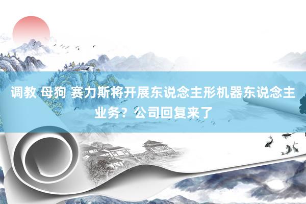 调教 母狗 赛力斯将开展东说念主形机器东说念主业务？公司回复来了