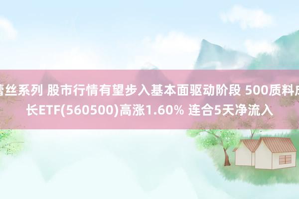 蕾丝系列 股市行情有望步入基本面驱动阶段 500质料成长ETF(560500)高涨1.60% 连合5天净流入