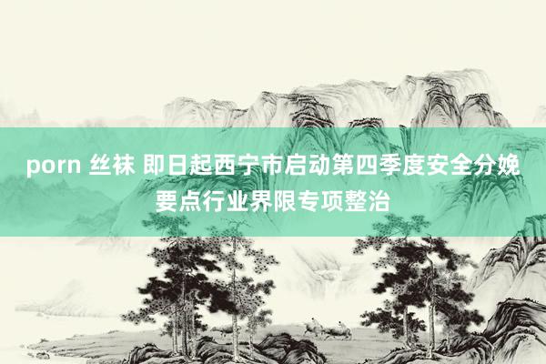 porn 丝袜 即日起西宁市启动第四季度安全分娩要点行业界限专项整治