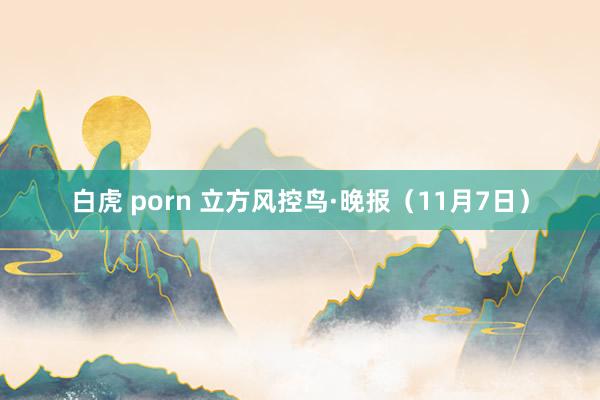 白虎 porn 立方风控鸟·晚报（11月7日）