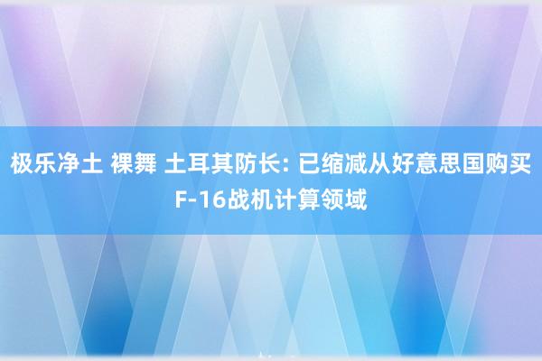 极乐净土 裸舞 土耳其防长: 已缩减从好意思国购买F-16战机计算领域