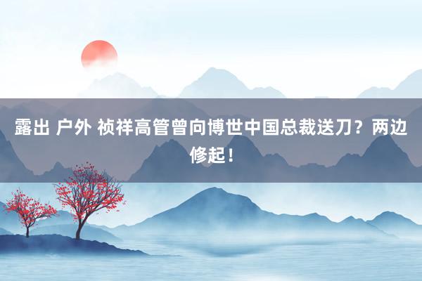 露出 户外 祯祥高管曾向博世中国总裁送刀？两边修起！