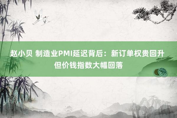 赵小贝 制造业PMI延迟背后：新订单权贵回升 但价钱指数大幅回落