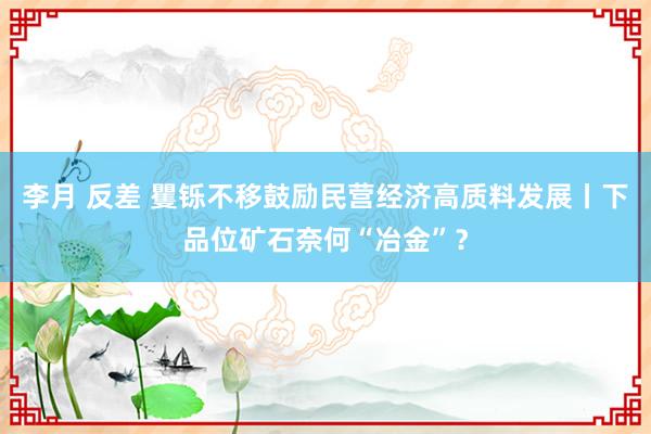 李月 反差 矍铄不移鼓励民营经济高质料发展丨下品位矿石奈何“冶金”？