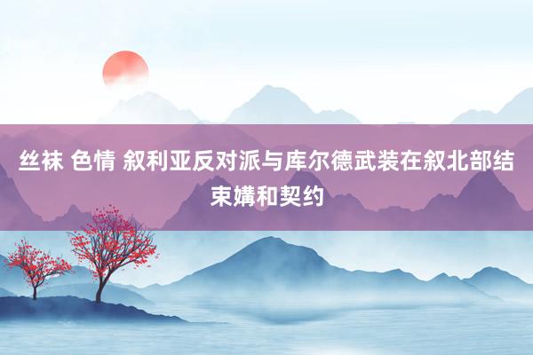 丝袜 色情 叙利亚反对派与库尔德武装在叙北部结束媾和契约