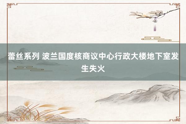 蕾丝系列 波兰国度核商议中心行政大楼地下室发生失火