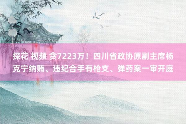 探花 视频 贪7223万！四川省政协原副主席杨克宁纳贿、违纪合手有枪支、弹药案一审开庭