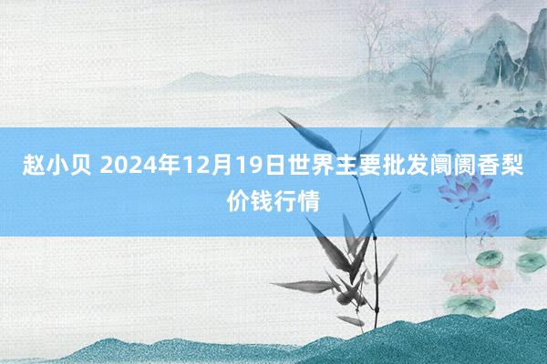 赵小贝 2024年12月19日世界主要批发阛阓香梨价钱行情