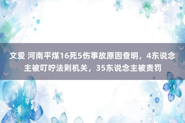 文爱 河南平煤16死5伤事故原因查明，4东说念主被叮咛法则机关，35东说念主被责罚