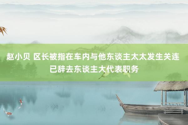 赵小贝 区长被指在车内与他东谈主太太发生关连 已辞去东谈主大代表职务