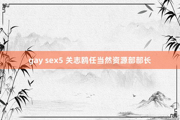 gay sex5 关志鸥任当然资源部部长