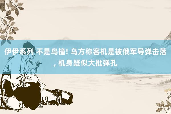 伊伊系列 不是鸟撞! 乌方称客机是被俄军导弹击落， 机身疑似大批弹孔