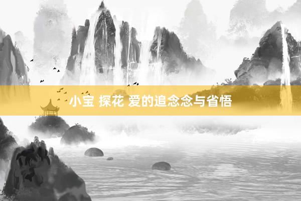 小宝 探花 爱的追念念与省悟