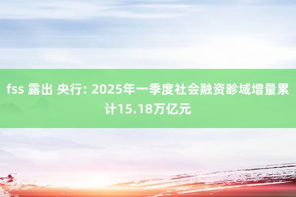 fss 露出 央行: 2025年一季度社会融资畛域增量累计15.18万亿元