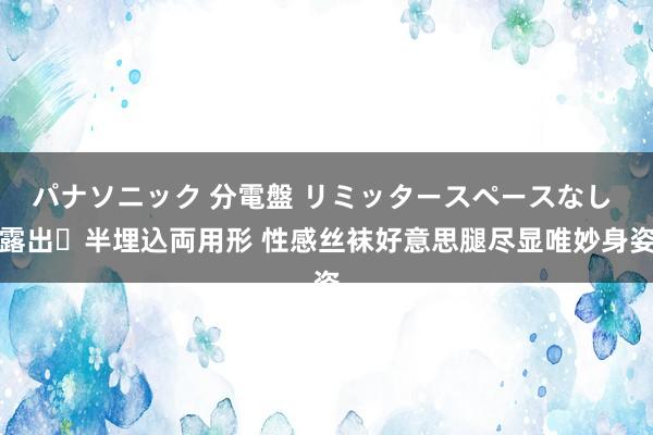 パナソニック 分電盤 リミッタースペースなし 露出・半埋込両用形 性感丝袜好意思腿尽显唯妙身姿